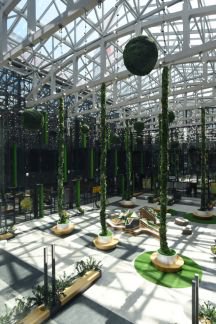 ������ ���� �� stone hedge (���� �4)