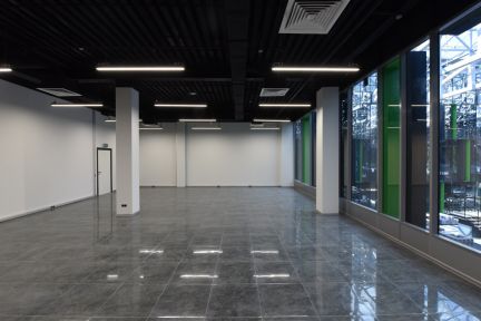 ������ ���� �� stone hedge (���� �19)