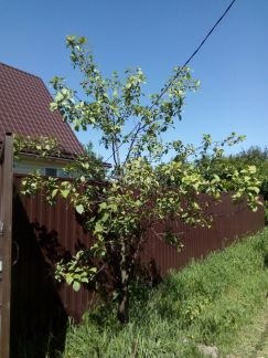 ������ ��������� ������� ������������� � (���� �17)