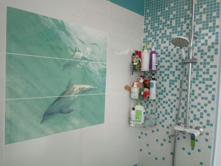 ������ ��� ����� ������ (���� �12)