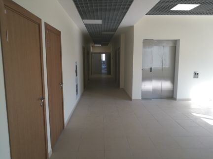 ����� ���� ����� ���������� ����� ��������������� ����� (���� �8)