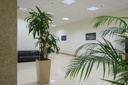 ����� ���� �������������� ������ 7 (���� �6)