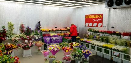 ������ ������� ����� ����������� ��������� �������� 82 2 (���� �6)