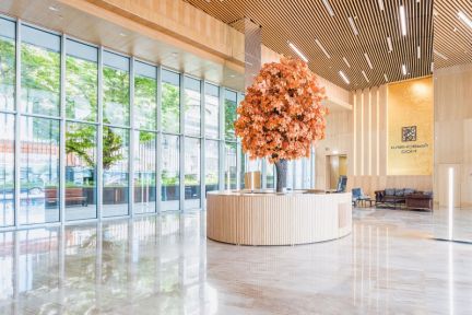 �� �������� ��� ������ (���� �6)