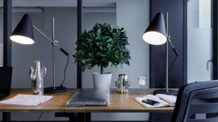 ����� ���� ����� ������ ������������� �������� ��36�5 (���� �4)