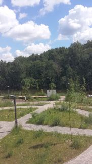 �� �������� ������ (���� �15)