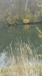 �� �������� ������ (���� �18)