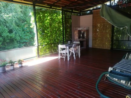 ������ ��� �������� (���� �14)