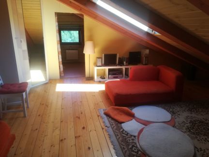 ������ ��� �������� (���� �19)