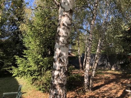 ������ ��� ����������� (���� �2)