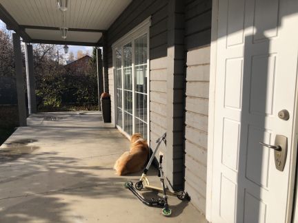 ������ ��� ����������� (���� �4)