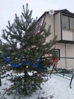 ����� ��������� ������� 6 ����� ��������� (���� �4)