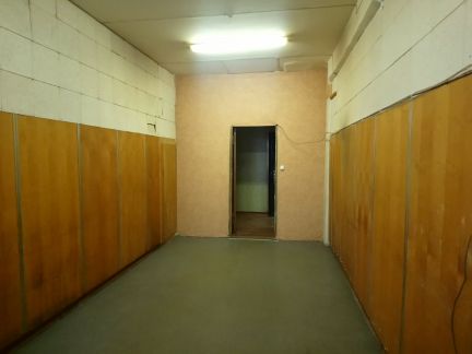      ( 3)