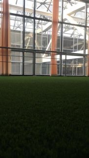 ����� ���� ����� ����������� ����������� ����� 100�2 (���� �5)