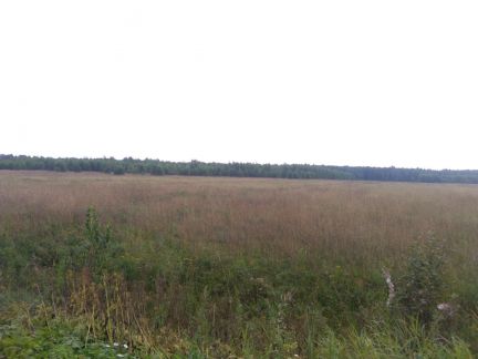 ������ ��������� ������� ����� ����������� ����� (���� �2)