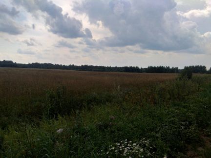 ������ ��������� ������� ����� ����������� ����� (���� �3)