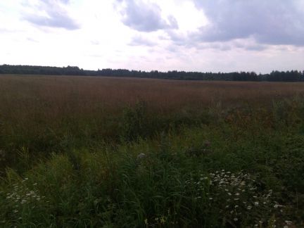 ������ ��������� ������� ����� ����������� ����� (���� �4)