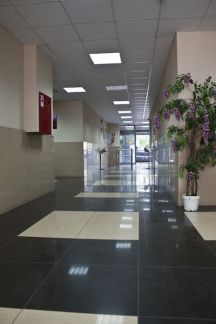 ����� ����� ������������ ����� 26�2 (���� �6)