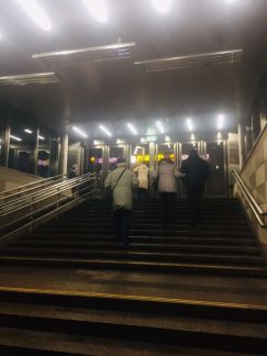      109 ( 3)