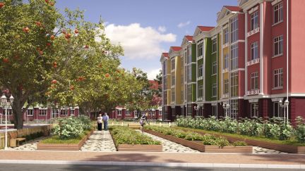 �� ������� ���� ������ ������� (���� �8)