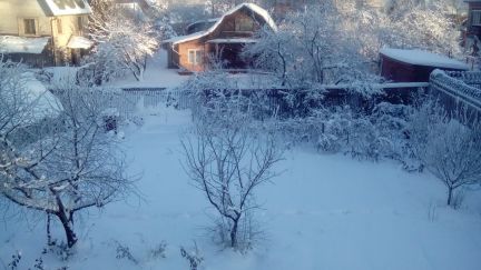 ������ ��������� ������� �������� ���� ����� (���� �8)