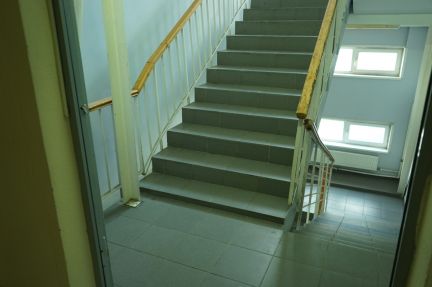 ����� ���� ����� ������������ ����� ����� 31�1 (���� �8)