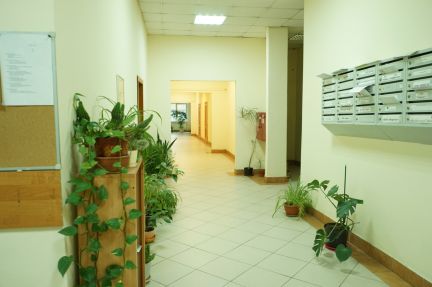 ����� ���� ����� ������������ ����� ����� 31�1 (���� �9)