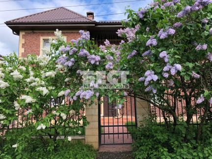 ������ ��� 10 ����� ������� ���������� (���� �5)