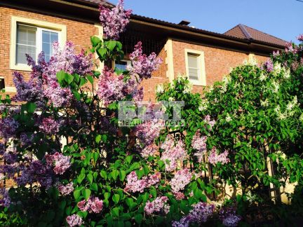 ������ ��� 10 ����� ������� ���������� (���� �15)