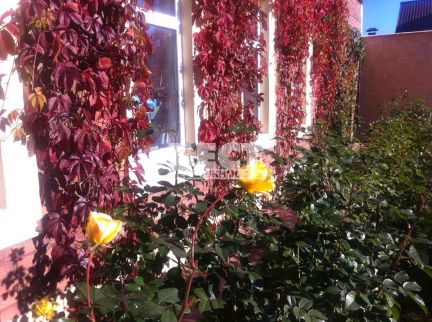 ������ ��� 10 ����� ������� ���������� (���� �17)