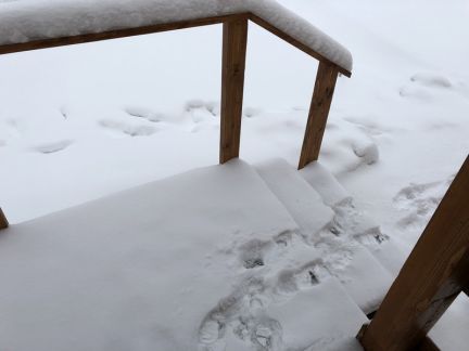 ������ ��� 10 ����� �������� ����� (���� �6)