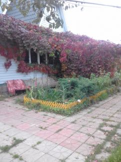 ������ ��� ������ �������� ����� (���� �2)