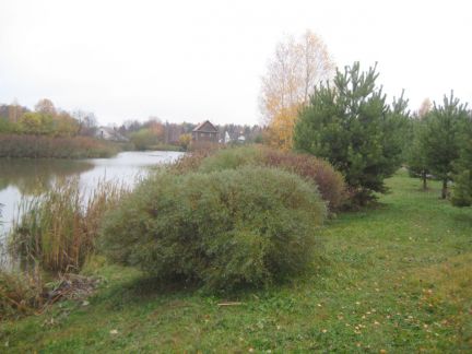 ������ ��� ������ �������� ����� (���� �7)