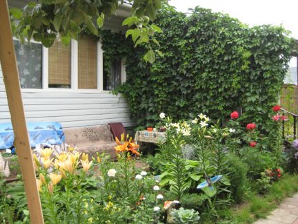 ������ ��� ������ �������� ����� (���� �9)