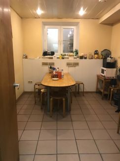      81 ( 15)