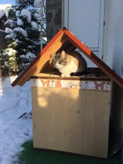 ����� ��� ��������� �� 18 �� �� ���� (���� �18)