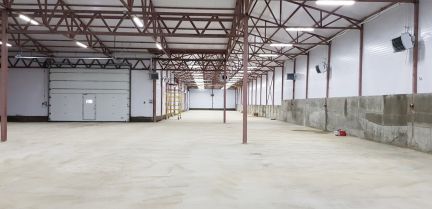 ����� ����� ���-�������� ���������������� ����� ����� ����� ������ (���� �16)