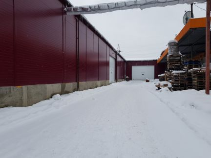 ����� ����� ���-�������� ���������������� ����� ����� ����� ������ (���� �5)