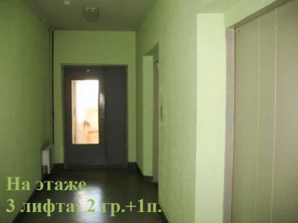     ( 2)