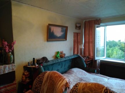 ������ ������� ����� ���������� (���� �15)