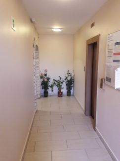 �� ������� ���� ������ (���� �12)