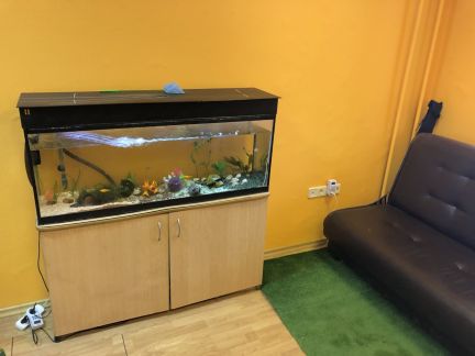 ������ ���� ��������� ������� 62�1 (���� �9)