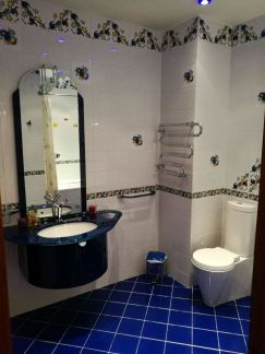 ������ �������� ������������� ����� 22 (���� �17)