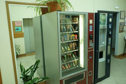 ����� ���� ����� ����� 31�1 (���� �12)