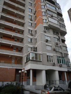       242 ( 11)