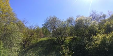      ( 3)