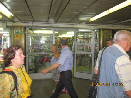      29 120 ( 5)