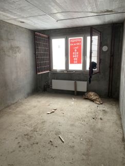 ����� ��������� ���������� ���������� ���������� ����� 12 (���� �5)