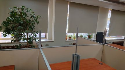 ����� ���� �������� ����� 8�1 (���� �8)