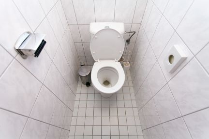 ����� ������������ ������������ ��� ������ ������������� ����� 24�1 (���� �2)